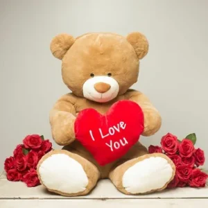 I Love You Teddy Bear